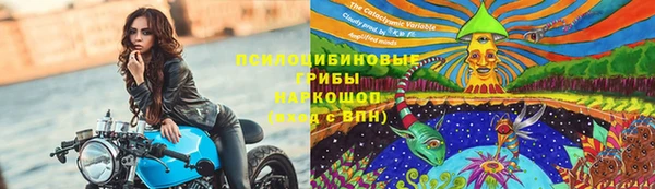 эйфоретик Каменногорск