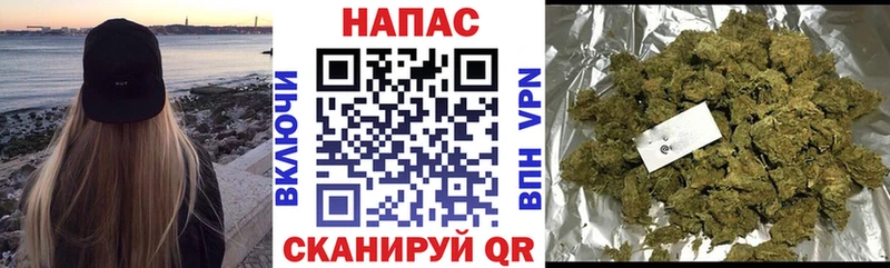 Купить где  Кинель  Бошки марихуана OG Kush 